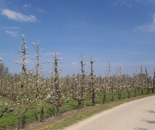 19-04-2023 - Wellen (15)