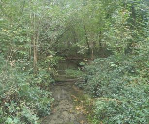 22-10-2023 - Beloeil (23)