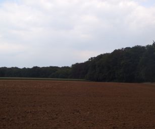 Holsbeek - 02-08-2020 (27)