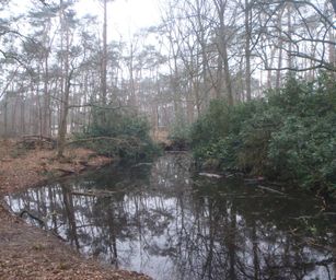 Sint-Niklaas - 27-02-2021 (5)