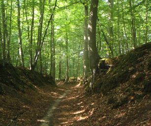 Blanden - 15-08-2020 (19)