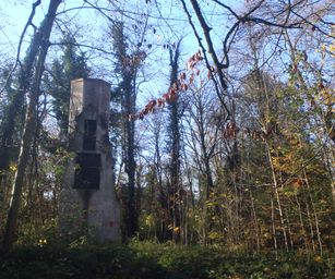Gentbrugge - 28-11-2020 (5)