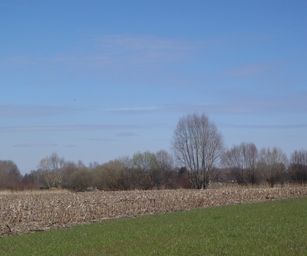 bornem - 20-03-2021 (13)