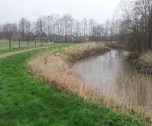 tubize - 08-03-2020 (13)