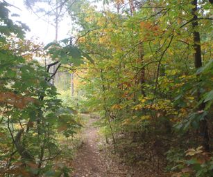 13-10-2022 Lommel (12)