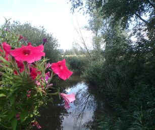 27-08-2023 - Laarne (15)