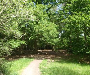 30-05-2023 - Assebroek (1)