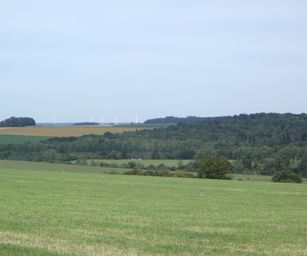 Taviers - 05-07-2020 (27)