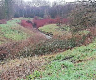 Hemiksem 02-02-2020 (14)