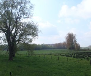 Dendermonde - 01-05-2021 (4)