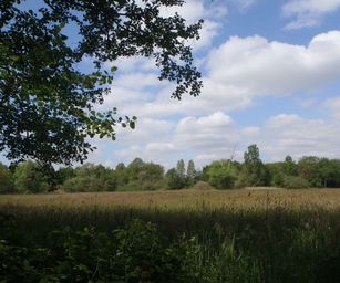25-05-2023 - Herselt (4)
