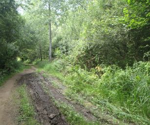 Holsbeek - 02-08-2020 (32)