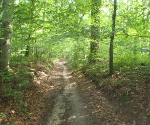 Blanden - 15-08-2020 (16)