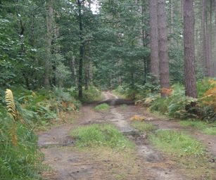 Blanden - 15-08-2020 (12)