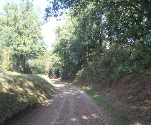 Diest  - 05-09-2020 (20)