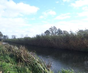 Wetteren - 31-10-2020 (12)