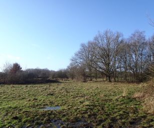09-01-2022 - Hulsthout  (5)