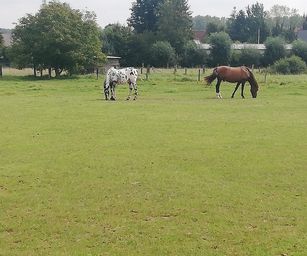 Humbeek - 12-09-2021 (8)