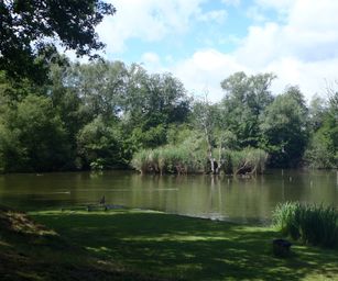 06-06-2022 Binche (5)