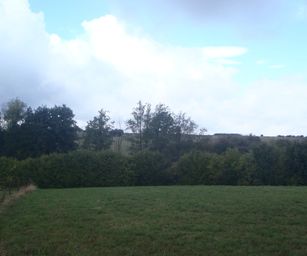 10-09-2022 - Senzeilles (8)