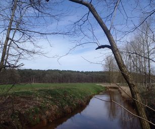 28-03-2023 - Meldert (33)
