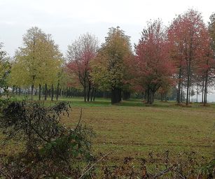 Paal - 18-10-2020 (9)