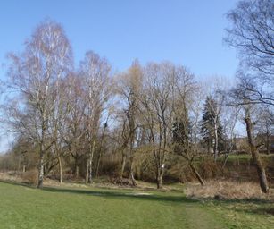 06-03-2022 - Tubize (7)
