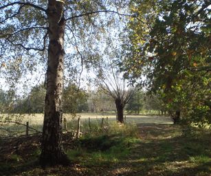 Bornem - 07-11-2020 (17)