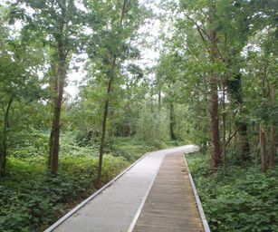 Schelle - 29-08-2021 (28)