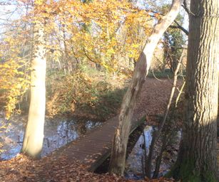 Gentbrugge - 28-11-2020 (6)