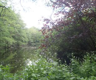 30-04-2022 - Destelbergen (4)