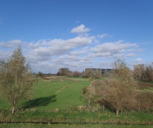 Wetteren - 31-10-2020 (21)