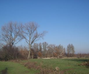 Gentbrugge - 28-11-2020 (18)