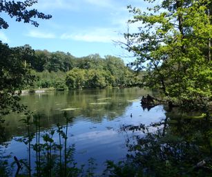 Oud Heverlee - 23-07-2020 (25)