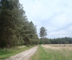 04-06-2022 Bergen-op-zoom (4)