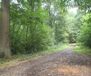 Blanden - 15-08-2020 (11)