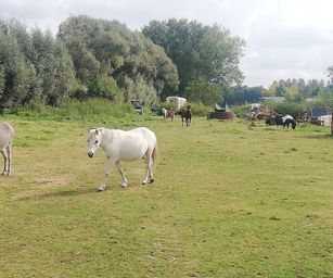 Humbeek - 12-09-2021 (10)