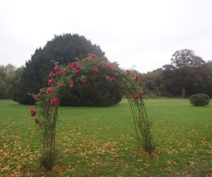 22-10-2023 - Beloeil (1)