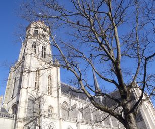 12-02-2022 - Lier (20)