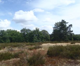 22-07-2023 - Genk (12)
