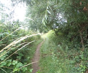 Taviers - 05-07-2020 (14)