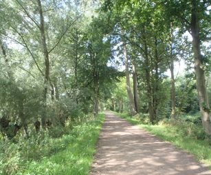 27-08-2023 - Laarne (5)