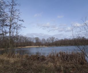 Kessel-Lo - 28-03-2021 (28)