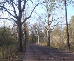 Bornem - 07-11-2020 (41)