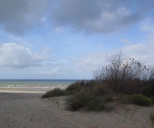 22-10-2022 Nieuwpoort (13)