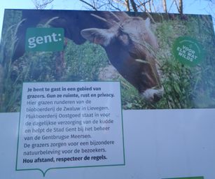 Gentbrugge - 28-11-2020 (26)