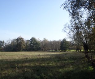 Bornem - 07-11-2020 (16)