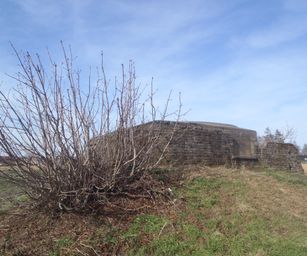 Bottelare 20-02-2021 (3)
