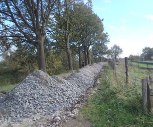 Wetteren - 31-10-2020 (31)