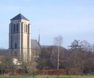 Wezemaal - 20-12-2020 (5)